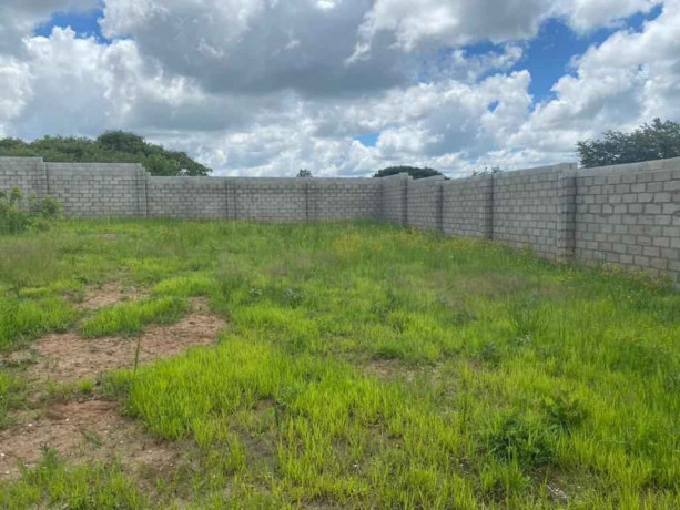 47-acres-land-for-sale-in-chalala-big-2