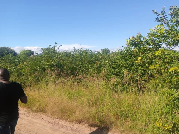 commercial-plot-for-sale-along-mazabuka-road-big-4
