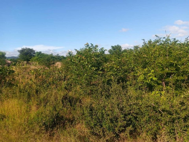 commercial-plot-for-sale-along-mazabuka-road-big-2