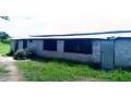 farm-house-for-sale-in-lusaka-west-small-4