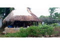 farm-house-for-sale-in-lusaka-west-small-3