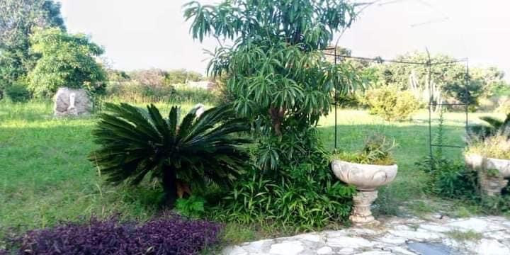 farm-house-for-sale-in-lusaka-west-big-6