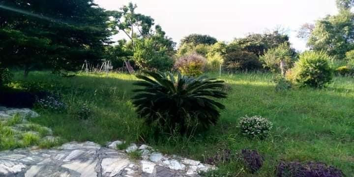 farm-house-for-sale-in-lusaka-west-big-8