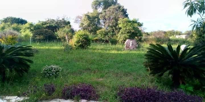 farm-house-for-sale-in-lusaka-west-big-1