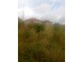 1-acre-land-for-sale-in-mass-media-small-3