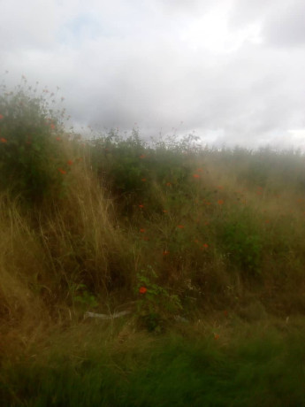 1-acre-land-for-sale-in-mass-media-big-0