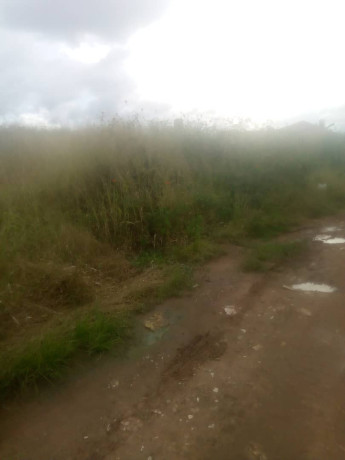 1-acre-land-for-sale-in-mass-media-big-2