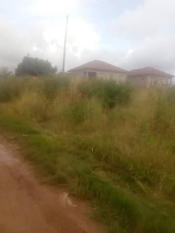 1-acre-land-for-sale-in-mass-media-big-1