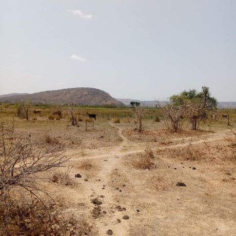 land-for-sale-in-kafue-big-4