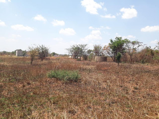 50m-by-40m-plot-for-sale