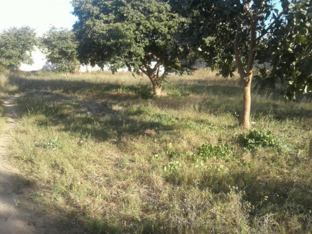 70m-by-35m-plot-for-sale-in-waterfalls-big-3