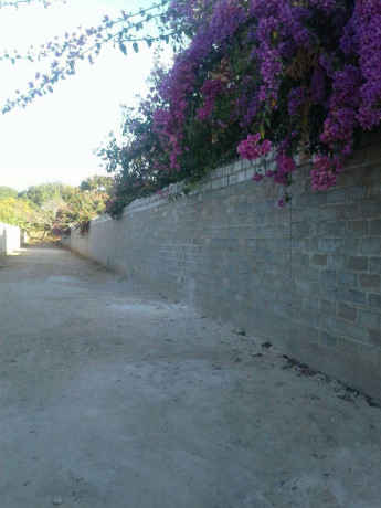 70m-by-35m-plot-for-sale-in-waterfalls-big-1