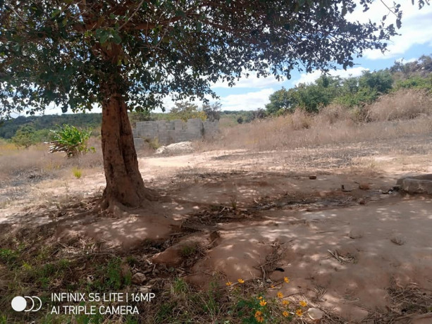 50m-by-50m-plot-for-sale-in-lusaka-west-big-4