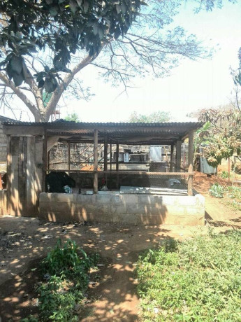 5-bedroom-house-for-sale-in-makeni-big-2