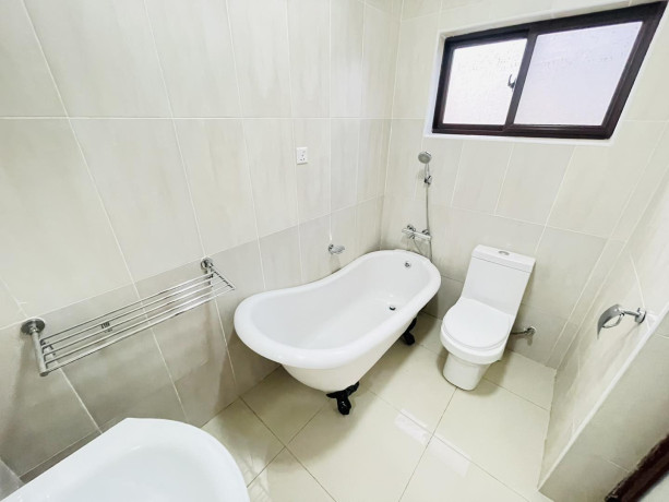 3-bedroom-flat-for-rent-in-roma-park-big-9