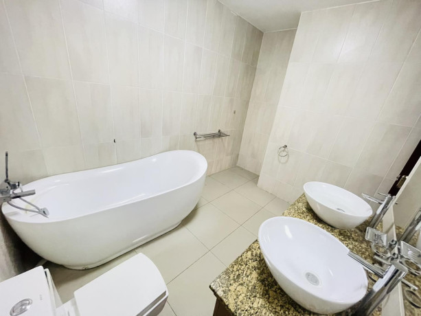 3-bedroom-flat-for-rent-in-roma-park-big-8