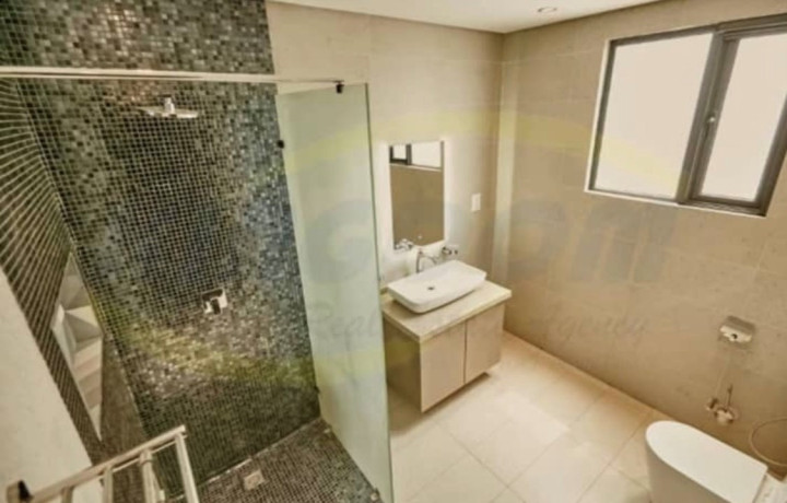 luxurious-fully-furnished-apartments-for-rent-in-roma-park-big-3