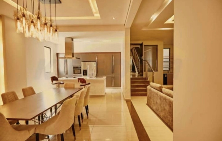 luxurious-fully-furnished-apartments-for-rent-in-roma-park-big-1