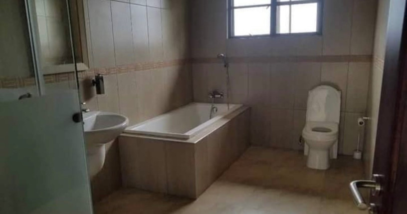 4-bedroom-house-for-rent-in-jesmondine-big-1