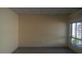 3-bed-4-bath-apartment-for-rent-near-memorial-park-small-5