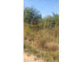 8-acres-commercial-plot-for-sale-in-makeni-small-1