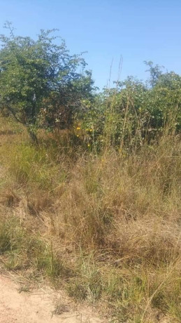 8-acres-commercial-plot-for-sale-in-makeni-big-1