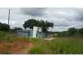 2000-sq-mt-of-land-for-sale-in-new-kasama-small-0