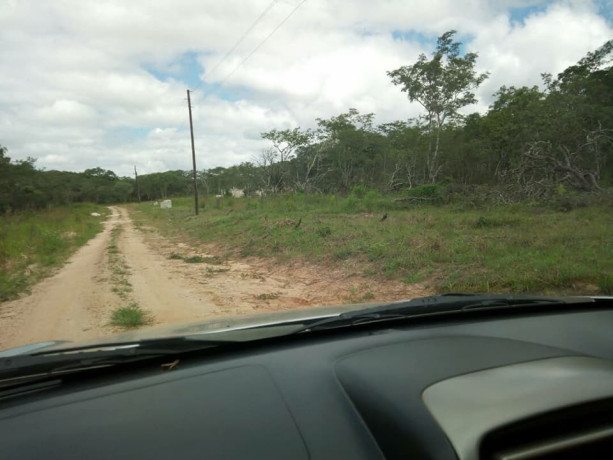 2000-sq-mt-of-land-for-sale-in-new-kasama-big-5