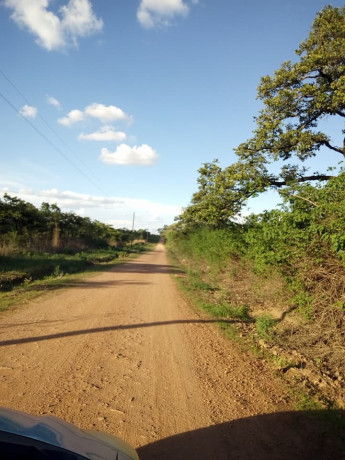 2000-sq-mt-of-land-for-sale-in-new-kasama-big-2