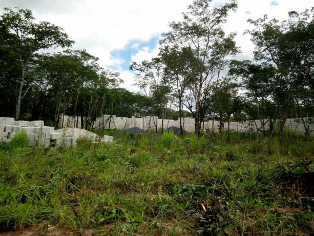 2000-sq-mt-of-land-for-sale-in-new-kasama-big-6