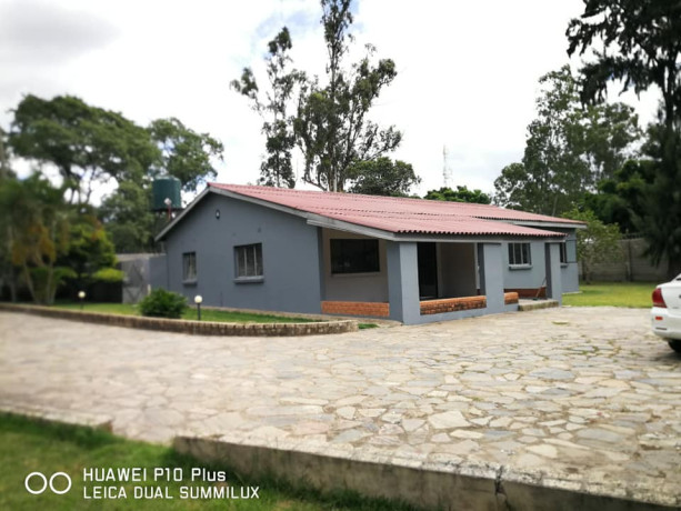 4-bedroom-standalone-house-for-rent-roma-big-8