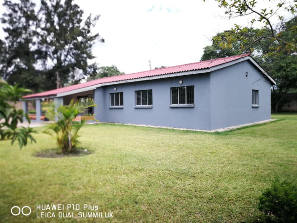 4-bedroom-standalone-house-for-rent-roma-big-1