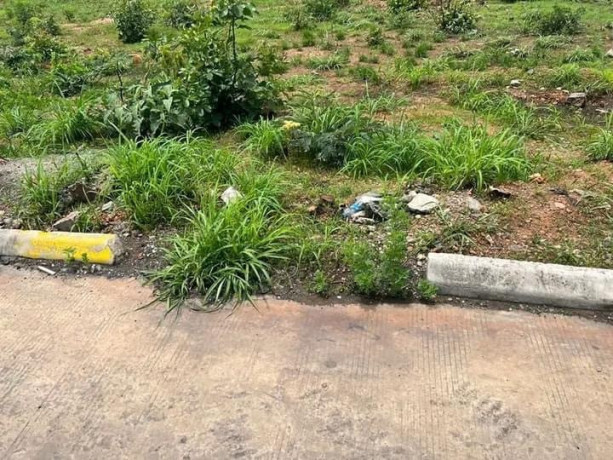 23-acres-land-for-sale-in-new-kasama-big-3