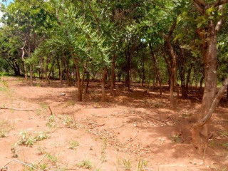 40m-by-25m-plot-for-sale-in-ibex-meanwood