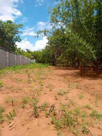 40m-by-25m-plot-for-sale-in-ibex-meanwood-big-2