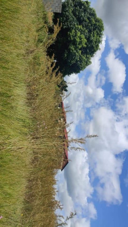 30m-by-50m-plot-for-sale-on-airport-road-big-0