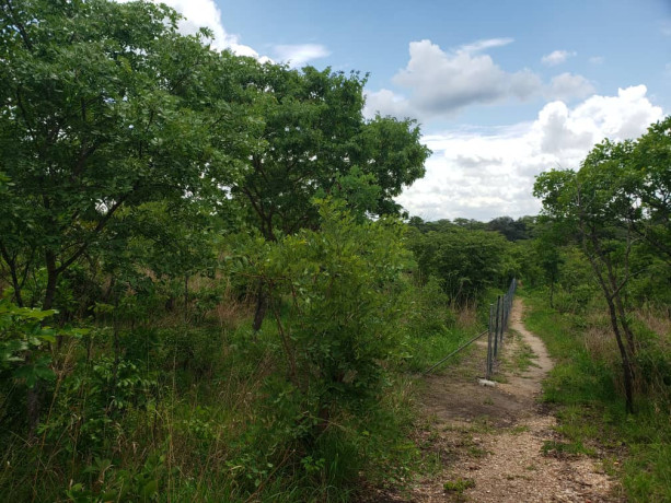 11-acres-land-for-sale-in-ibex-meanwood-big-3