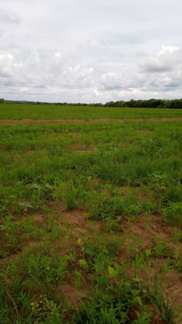 1196-hectares-of-land-for-sale-in-luwombwa-big-3