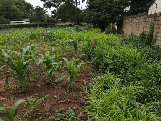 prime-plot-for-sale-in-rhodes-park-big-3