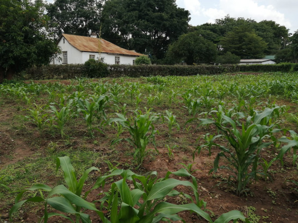 prime-plot-for-sale-in-rhodes-park-big-2