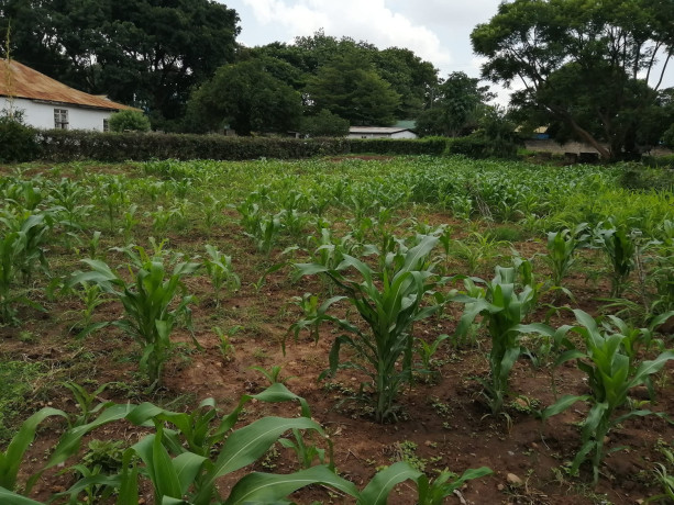 prime-plot-for-sale-in-rhodes-park-big-0