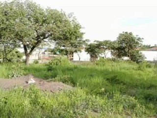 30m-by-40m-plot-for-sale-in-ibex-hill