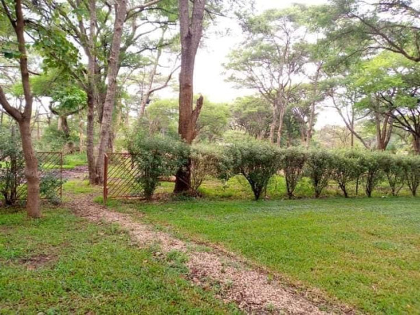 4-bedroom-house-for-sale-in-eureka-park-big-7