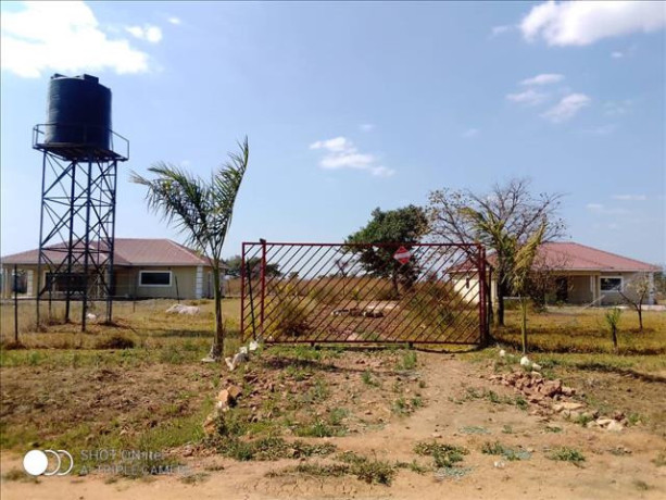 2-bedroom-house-for-rent-in-roan-park-big-4