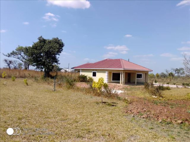 2-bedroom-house-for-rent-in-roan-park-big-3