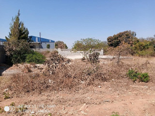 1-acre-plot-for-sale-in-makeni-bonaventure