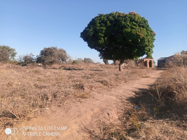 110m-by-46m-plot-for-sale-in-10-miles-big-4