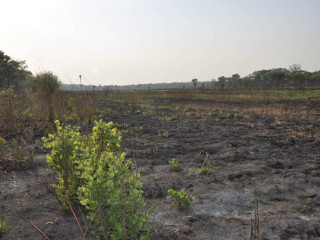 111-hectares-of-farm-land-for-sale-in-nasanga-project