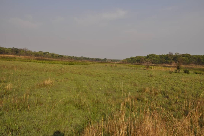 111-hectares-of-farm-land-for-sale-in-nasanga-project-big-3