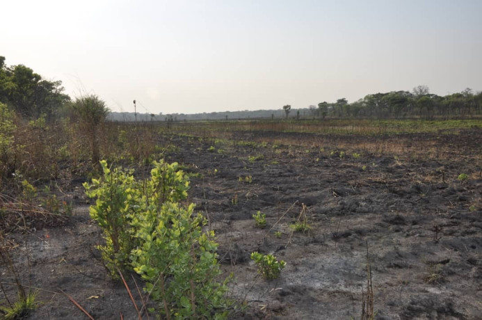 111-hectares-of-farm-land-for-sale-in-nasanga-project-big-0